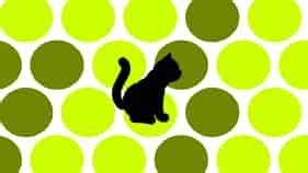 Circle The Cat ️ Play on CrazyGames.